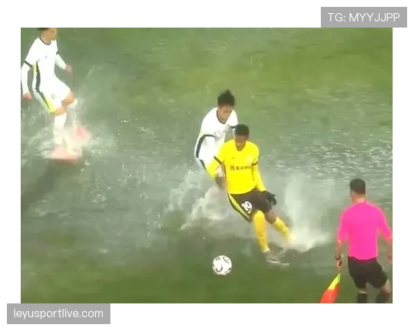 “消失的十分钟”：波士顿赛场因突发性强降雨中断比赛