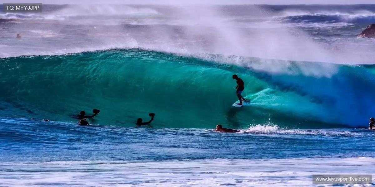 荣耀赛场,舍我其谁!🌟